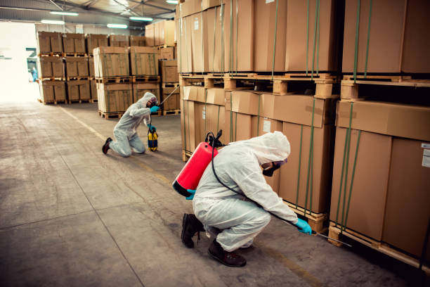 Best Pest Prevention Services  in New Holstein, WI