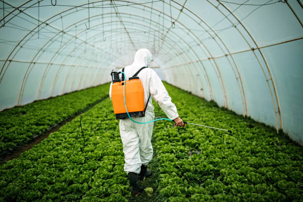 Best Mosquito Control Services  in New Holstein, WI