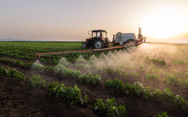 Best Emergency Pest Control  in New Holstein, WI