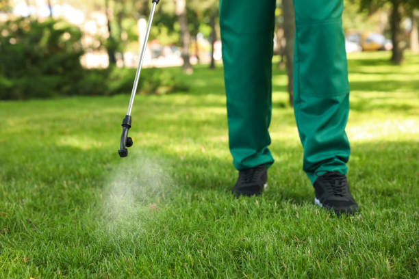 Best Exterminator Services  in New Holstein, WI
