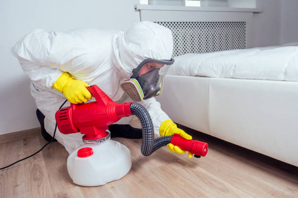 Best Affordable Pest Control Services  in New Holstein, WI