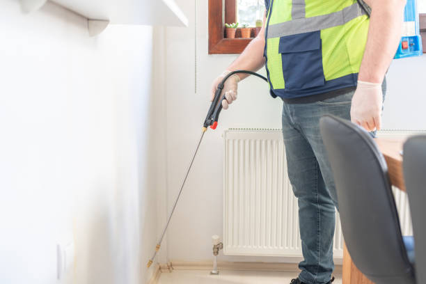 Best Wasp Removal Services  in New Holstein, WI