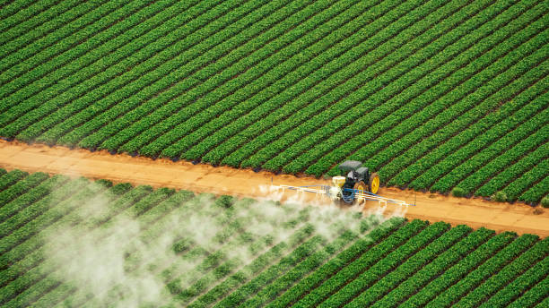 Best Cockroach Control Services  in New Holstein, WI