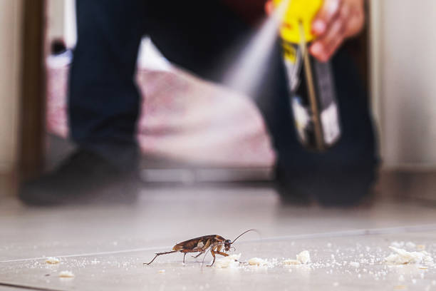  New Holstein, WI Pest Control Pros